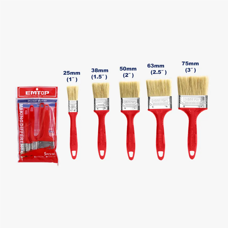 Ensemble de 5 pinceaux EMTOP EPBH160501
